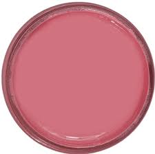 Carnation Pink EPOXY PASTE (JR)