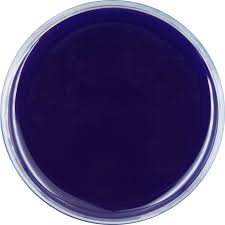 Phthalo Blue Epoxy Paste (JR)